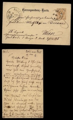 Austria 1886 Postcard Postal stationery Zell am See to Viena D.225 foto