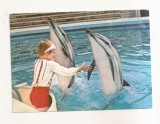 RF159 - Carte Postala - Ceonstanta. Delfinariu, circulata 1975