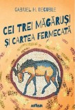 Cei trei magarusi si cartea fermecata