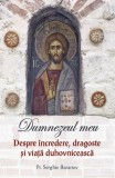 Cumpara ieftin Dumnezeul Meu. Despre &Icirc;ncredere, Dragoste Și Viață Duhovnicească, Serghie Baranov - Editura Sophia