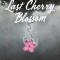 The Last Cherry Blossom