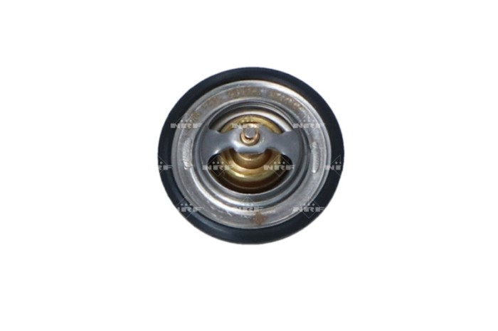 NRF 725154 EASY FIT termostat,lichid racire
