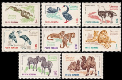 1964 - Gradina zoologica Bucuresti, fauna, animale, serie neuzat foto