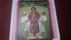 DISC VINIL EXPRES PENTRU TINE foto