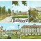carte postala-TIMISOARA