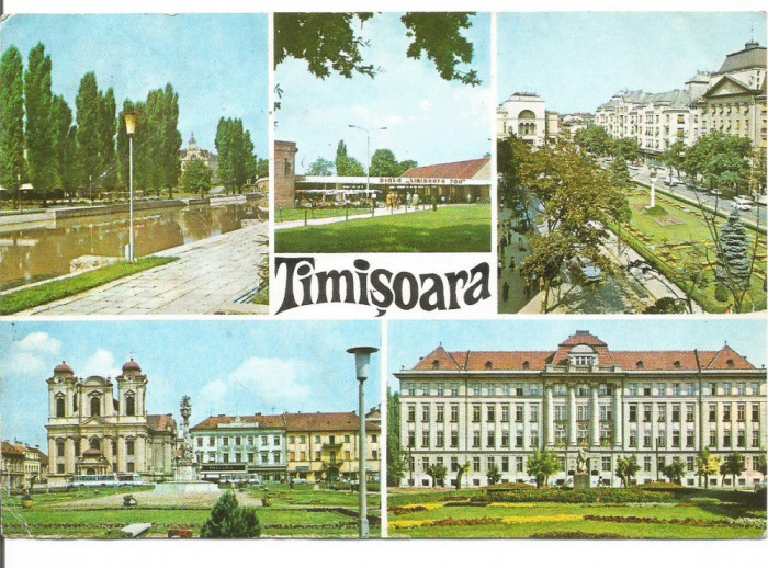 carte postala-TIMISOARA