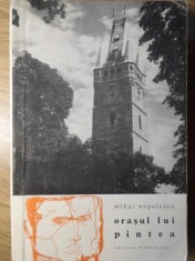 ORASUL LUI PINTEA-MIHAI NEGULESCU-131723