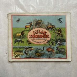 Atlas zoologic - Cu 215 ilustratii colorate