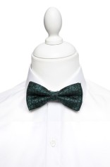 Papion barbati verde floral Z002