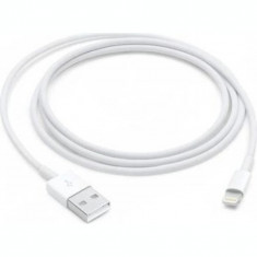 Cablu Date Lightning to Usb Apple 1m Alb foto