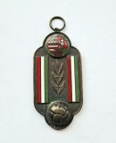 Medalie maghiara emisa cu ocazia meciului de fotbal Romania - Ungaria din 24 . 10. 1948