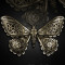 Clama de par gotica steampunk Mechanical Moth