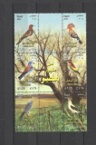 EGIPT 2014 FAUNA PASARI