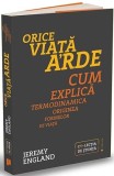 Orice viață arde. Cum explică termodinamica originea formelor de viață