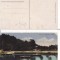 Roman (Neamt) - Gradina