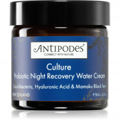 Antipodes Culture Probiotic Night Recovery Water Cream Crema de noapte intensiva pentru revitalizarea pielii cu probiotice 60 ml