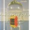Accesorii Pentru Paradis - Marie-Jeanne Urech