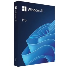 Windows 11 Pro
