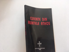 CUVINTE DIN MUNTELE ATHOS- JEAN YVES LELOUP. EDITURA BIZANTINA 1998 foto