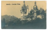 956 - SINAIA, Prahova, PELES Castle, Romania - old postcard, real PHOTO - unused, Necirculata, Fotografie