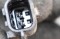 icon 5