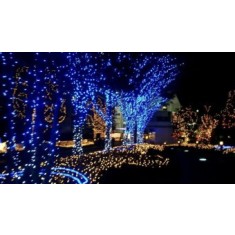 Instalații luminoase albastre cu flash, sir luminos cu flash lumina albastra, 10m lungime, instalatii luminoase albastre Craciun