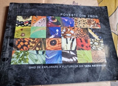 Lorena Apachitei, Dan Paicu - Povesti din Zbor - Ghid de Explorare a Fluturilor din Tara Hategului foto