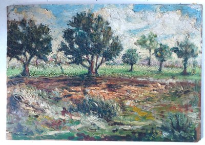 (T) Pictură &amp;icirc;n ulei pe placaj &amp;ndash; peisaj cu copaci și c&amp;acirc;mp, 33&amp;times;23 cm, nesemnată foto