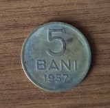 Moneda 5 Bani 1957 RPR Rom&acirc;nia - Colecție Numismatică