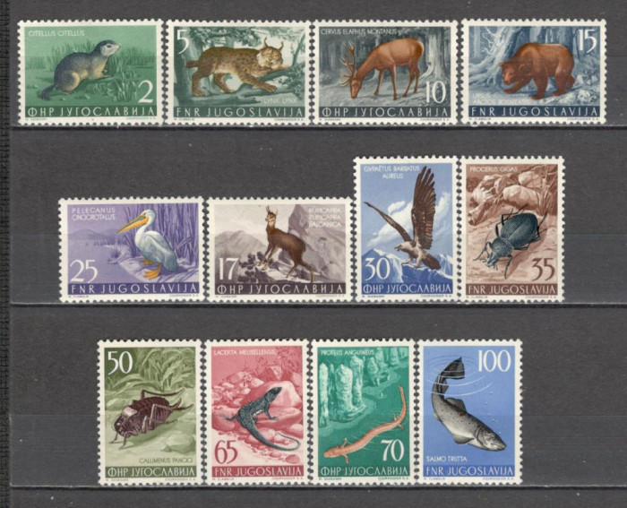 Iugoslavia.1954 Fauna SI.160