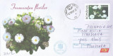 Romania, Frumusetea florilor, intreg postal circulat, 2007