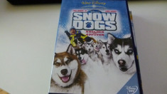 snow dogs - dvd foto