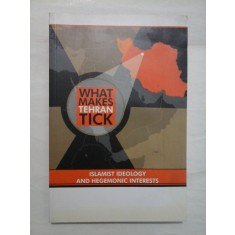 WHAT MAKES TEHRAN TICK * ISLAMIST IDEOLOGY AND HEGEMONIAC INTERESTS