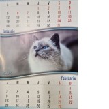 Calendar de perete A3, Pisici, 6 file, 2026