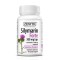 Silymarin Forte, 30 capsule, Zenyth
