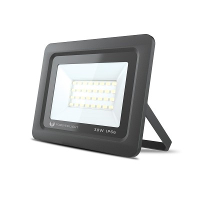 Proiector Forever Light Proxim, 32 LED-uri, 30 W, 6000 K, 2400 lm, IP66, 150 mA, aluminiu, sticla, Negru foto