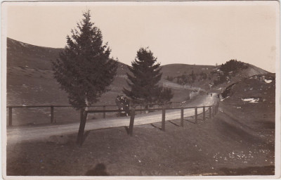 Bran CP necirculata ND(1931) foto