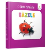 Gazele, - Editura Gama