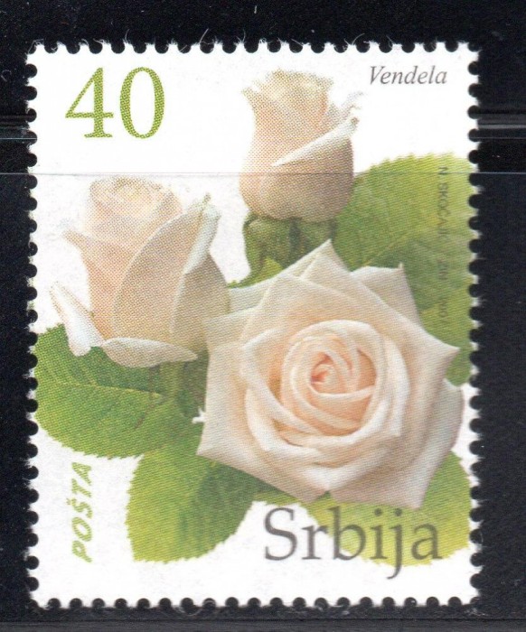 SERBIA 2007, Flora, serie neuzata, MNH