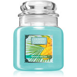 Country Candle Mango Nectar lum&acirc;nare parfumată 453 g