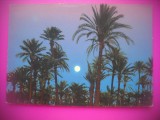 HOPCT 6722 NOCTURNA MARRAKECH -MAROC -AFRICA-NECIRCULATA