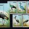 PR CONGO 1992 FAUNA PASARI