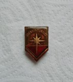 INSIGNA PIONIER - ROZA VANTURILOR CLS. I