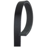 Curea transmisie Volvo, 5 nervuri, GATES