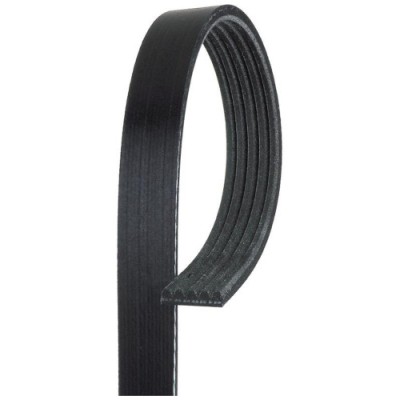 Curea transmisie Bmw 3 (E46), 3 Touring (E46), 5 (E39), 5 Touring (E39), 7 (E38), X5 (E53), 5 nervuri, GATES foto