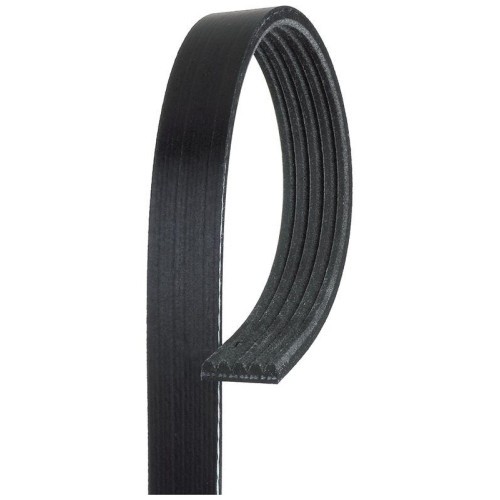 Curea transmisie Bmw 3 (E46), 3 Touring (E46), 5 (E39), 5 Touring (E39), 7 (E38), X5 (E53), 5 nervuri, GATES
