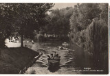 CPIB 21023 CARTE POSTALA - PITESTI. VEDRE DIN PARCUL &quot;VASILE ROAITA&quot;, RPR, Circulata, Fotografie