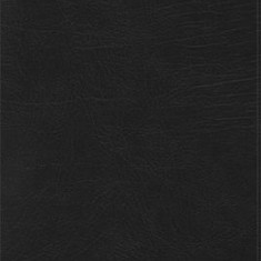 Rvr 1960 Biblia de Estudio Arco Iris, Negro Imitaci