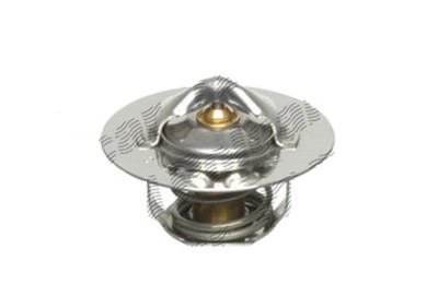 Termostat lichid racire U55000L foto