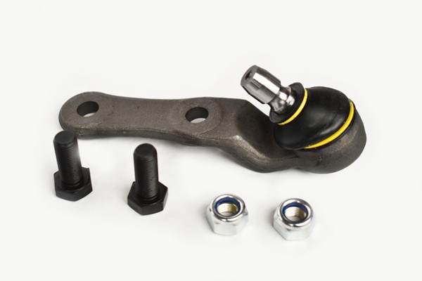 Pivot Suspensie 48366 FDR.709